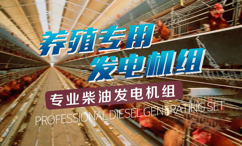 養(yǎng)殖專用柴油發(fā)電機(jī)組